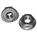 Stainless Flange Nuts